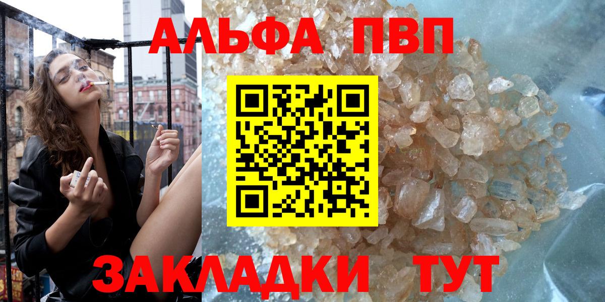 Альфа ПВП СК Балтийск